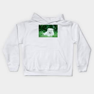 Samoyed puppies portrait Kids Hoodie